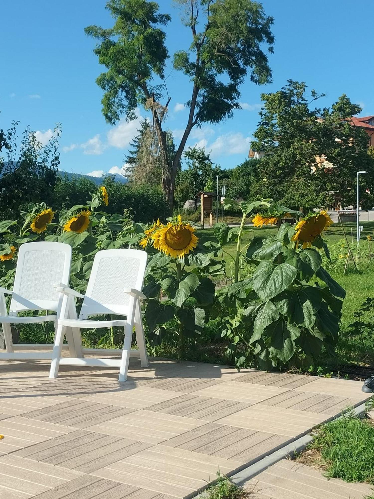I Girasoli Sanzeno Eksteriør billede